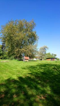 Foto - freundliches, gemütliches Haus ca. 50 km zur Ostsee
