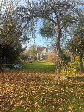 Foto - 5 Zimmer Einfamilienhaus in Hannover