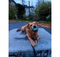 Wohnung 2 Raum - 580,00 EUR Kaltmiete, ca.  45,00 m² in Essen (PLZ: 45144) Stadtbezirk III