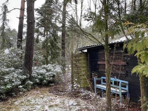 Foto - Idyllisches Erholungsgrundstück mit Seezugang & Top-Infrastruktur