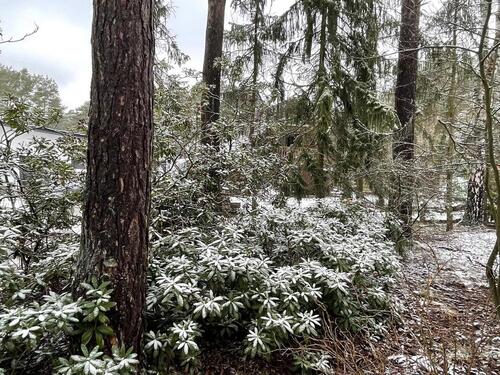 Foto - Einfamilienhaus in Gifhorn zum Kaufen