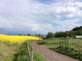 Foto - andere zur Miete in Waabs