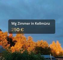 Wg Zimmer Kellmünz - 250,00&nbsp;EUR Kaltmiete, ca.&nbsp; 20,00&nbsp;m&sup2; in Kellmünz an der Iller (PLZ: 89293)