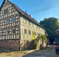 Eins der schönsten Häuser der Region m. Pferdeställen und Scheune - Gundelsheim