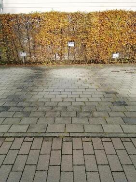 Foto - PKW Parkplatz in Spaichingen - 30,00 EUR Miete,