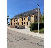 Neue 2-Zimmer Wohnung mit EBK und Balkon in Sinzing