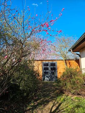 Foto - 5 Zimmer Bungalow in Möckern