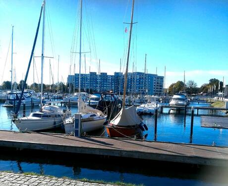 Foto - Last Minute ❗Ferienwohnung in Damp an der Ostsee Yachthafen Meer