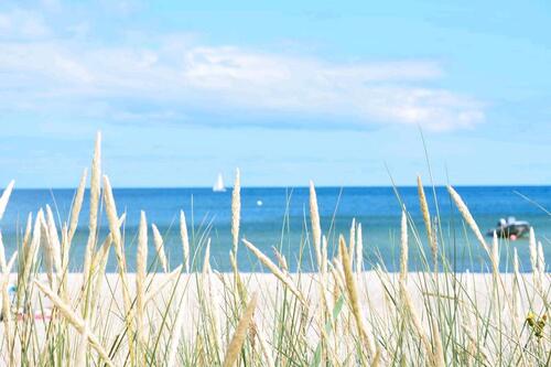 Foto - andere zur Miete in Holzminden