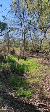 Foto - Naturbelasser Stellplatz Wohnwagen
