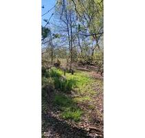 Naturbelasser Stellplatz Wohnwagen - Ganderkesee