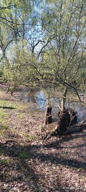 Foto - andere zur Miete in Ganderkesee