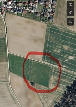 Foto - Bio-Ackerland im Gemeindebereich Denkendorf