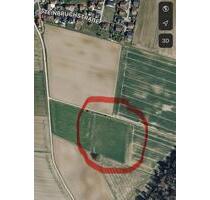 Bio-Ackerland im Gemeindebereich Denkendorf