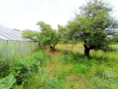 Foto - PACHTGARTEN GRUNDSTÜCK m. GEWÄCHSHAUS & TEICH STROM & WASSER