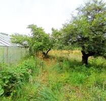 PACHTGARTEN GRUNDSTÜCK m. GEWÄCHSHAUS & TEICH STROM & WASSER - Schwielowsee