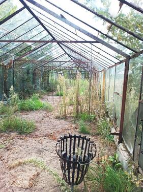 Foto - Grundst&uuml;ck in Schwielowsee zur Miete