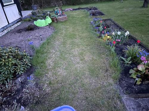 Foto - Grundst&uuml;ck in Cottbus zur Miete