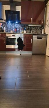 Foto - Einfamilienhaus in Dorsten zum Kaufen