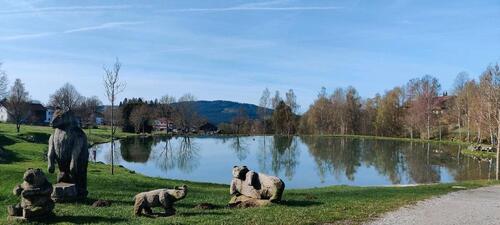Foto - 