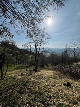 Foto - Wiesengrundstück mit viel Sonne