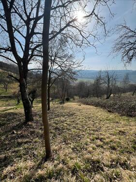 Foto - Grundst&uuml;ck in Remshalden zur Miete