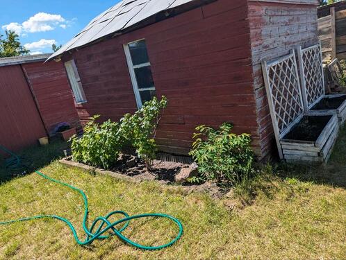 Foto - Grundst&uuml;ck in Brandenburg an der Havel zur Miete