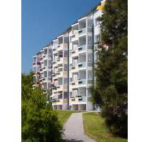 Hier wohnen Sie ruhig – und sind schnell überall. Einkaufsmöglichkeiten und Straßenbahn nur wenige Gehminuten entfernt! - Görlitz Biesnitz