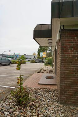 Foto - andere in Flensburg