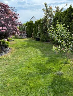 Foto - Einfamilienhaus in Grasleben zum Kaufen