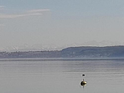 Foto - Moderne helle 2-Zimmer-Wohnung in Überlingen zu verkaufen