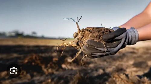 Foto - 990qm Landwirtschaftliche Nutzfläche zu verpachten