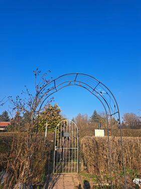 Foto - Grundst&uuml;ck in Nesse-Apfelstädt