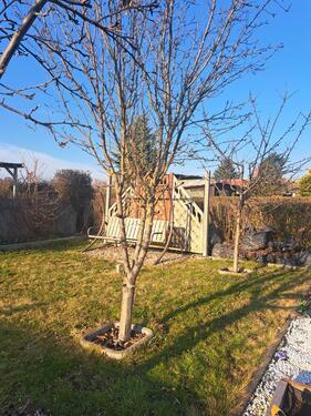 Foto - Grundst&uuml;ck in Nesse-Apfelstädt zur Miete