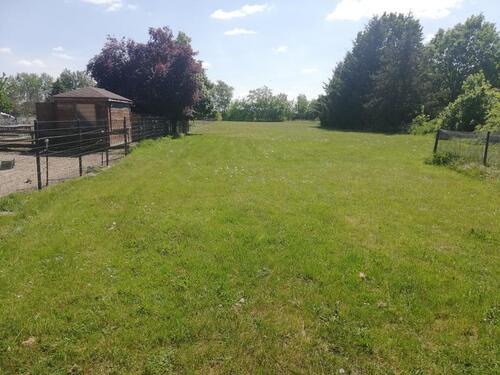 Foto - Einfamilienhaus zum Kaufen in Velten