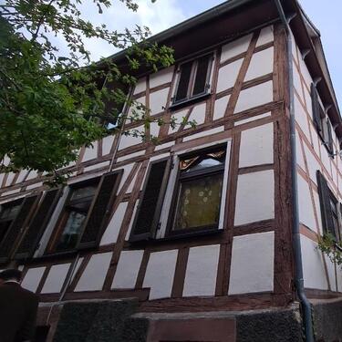 Foto - 7 Zimmer Einfamilienhaus zum Kaufen in Baden-Baden