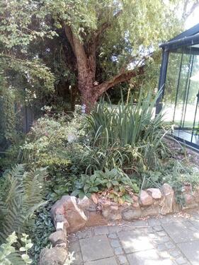 Foto - 4 Zimmer Einfamilienhaus in Weilerswist