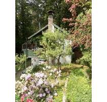 Haus im Wald am Weiher - 385.000,00&nbsp;EUR Kaufpreis, ca.&nbsp; 60,00&nbsp;m&sup2; in Mitterfels (PLZ: 94360)