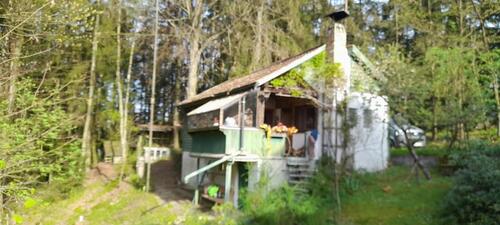 Foto - 2 Zimmer Einfamilienhaus in Mitterfels