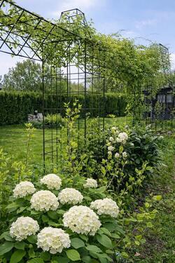 Foto - Grundst&uuml;ck zur Miete in Walsrode