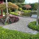 Foto - 7 Zimmer Bungalow in Greven