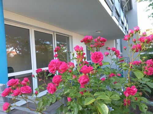 Foto - 4,5 Zimmer Wohnung mit Garten in Oggelshausen