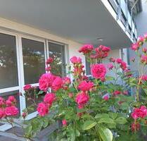 4,5 Zimmer Wohnung mit Garten in Oggelshausen - Bad Buchau