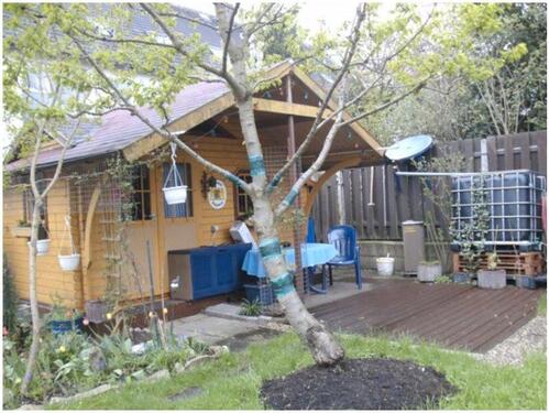 Foto - Etagenwohnung in Bayreuth zum Kaufen