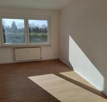 4 Zimmer + Küche + Bad + Flur in 39397 SCHWANEBECK frisch renoviert, neues Bad, neue Bodenbeläge - Gröningen