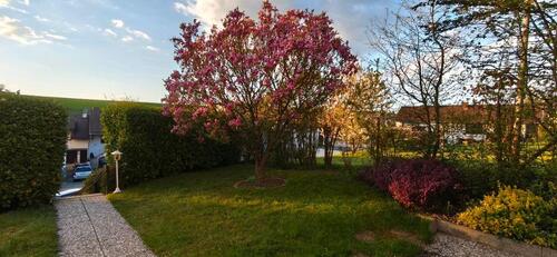 Foto - 3 Zimmer Etagenwohnung zur Miete in Melsbach