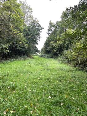 Foto - Große Wiese Pferdewiese Freizeitgrundstück zu verpachten