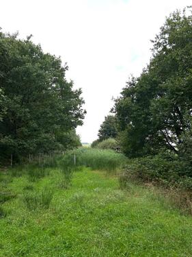 Foto - Grundst&uuml;ck zur Miete in Geestland