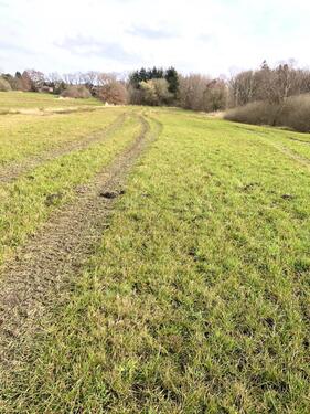 Foto - Grundst&uuml;ck in Geestland