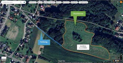 Foto - Heuwiese Grünland Wiese Pachtwiese